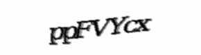 Security check image, please type the characters shown